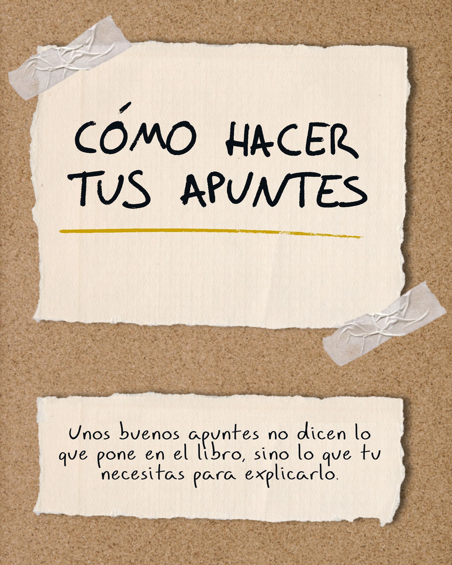 Cómo Hacer Tus Apuntes